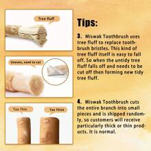 Periuta De Dinti Naturala Miswak